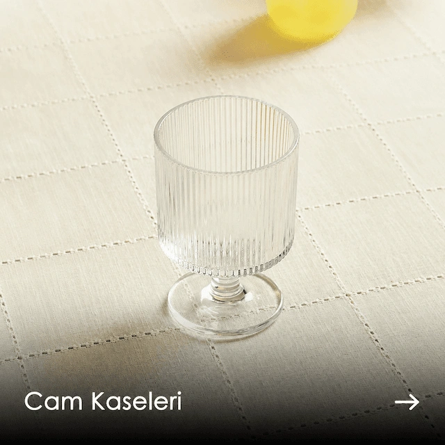 Cam sunum Kaseleri.png
