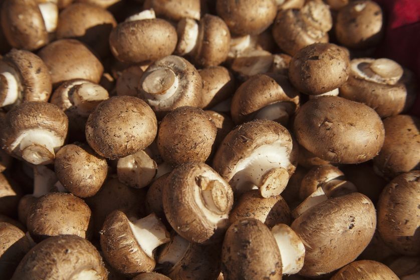 Mantar Nasıl Saklanır? Mantar Buzlukta Saklanır mı ve Kaç Gün Dayanır?