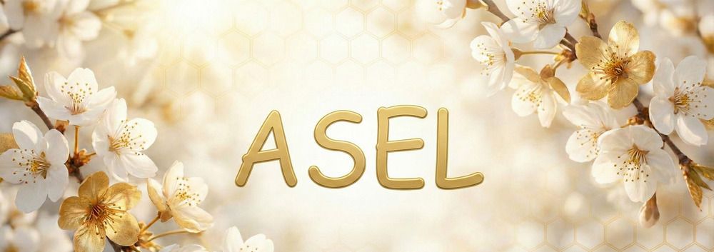 Asel İsminin Anlamı Kökeni ve Taşıdığı Derin Anlamlar