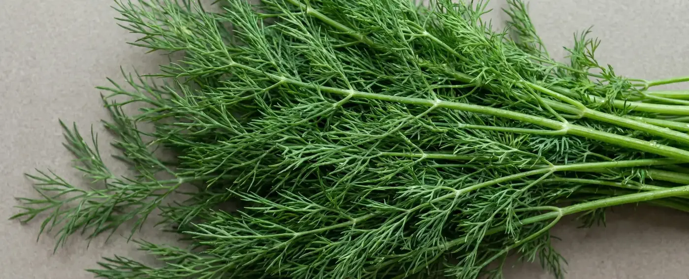 D ile Bitkiler - D Harfi ile Başlayan Bitkiler Hangileridir?