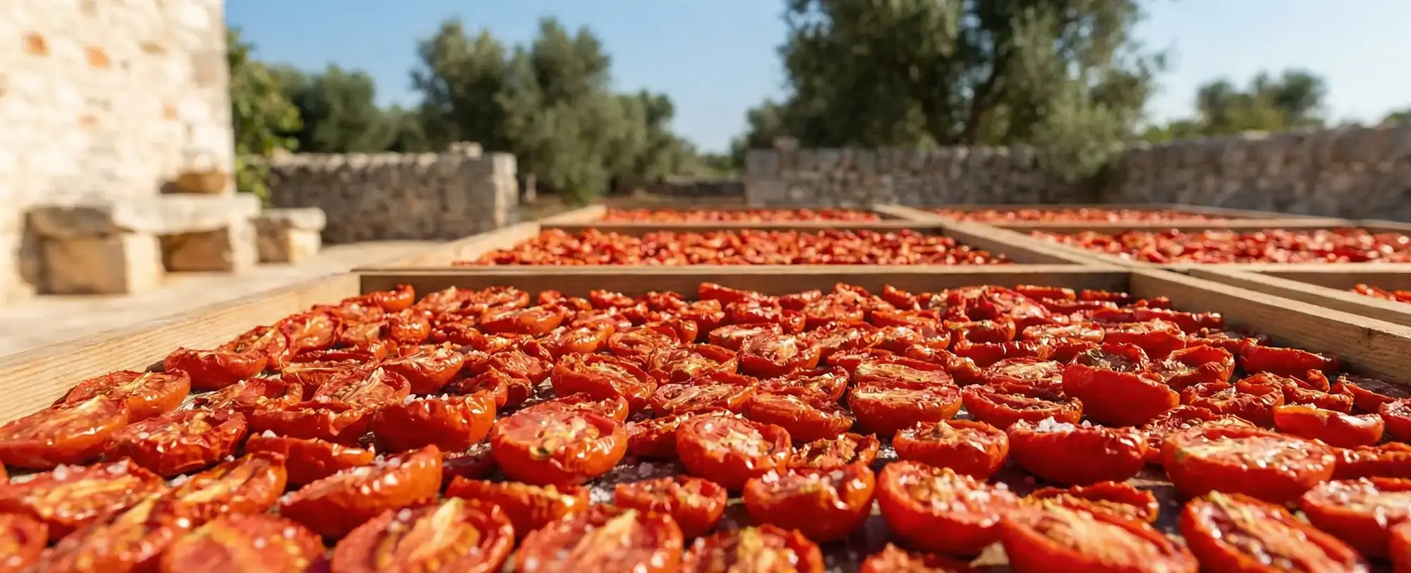 Evde Fırında veya Güneşte Domates Nasıl Kurutulur?