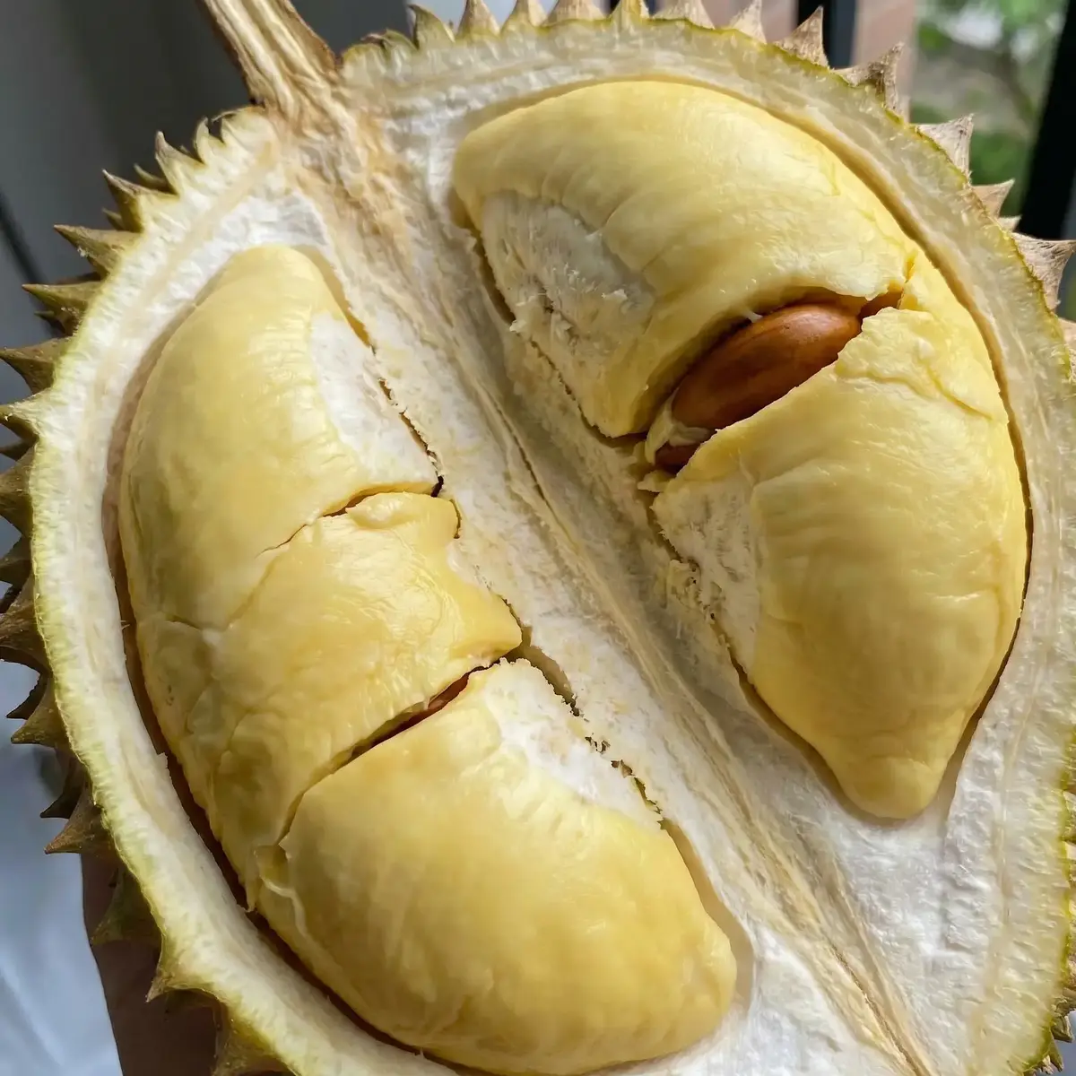 Durian Meyvesi