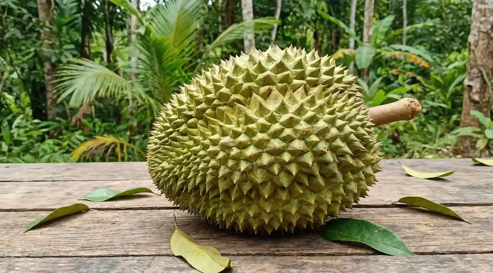 Durian Meyvesi Nedir ve Nasıl Yenir? Durian Zehirli mi?