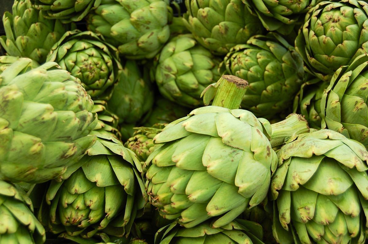 Enginar Hangi Mevsimde Yetişir? Ne Zaman Ekilir? Özellikleri ve Faydaları Nelerdir?