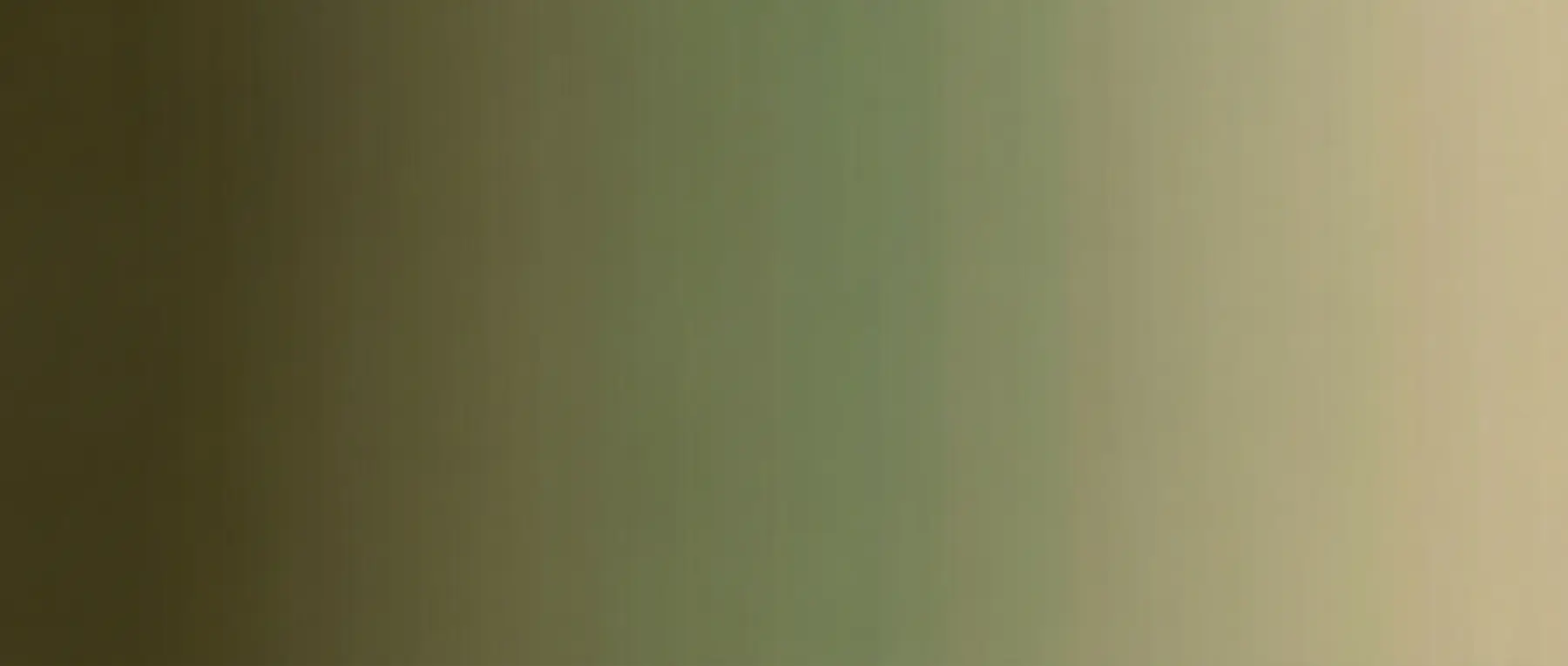 Haki Renk Nedir? Haki Yeşili Rengin Anlamı