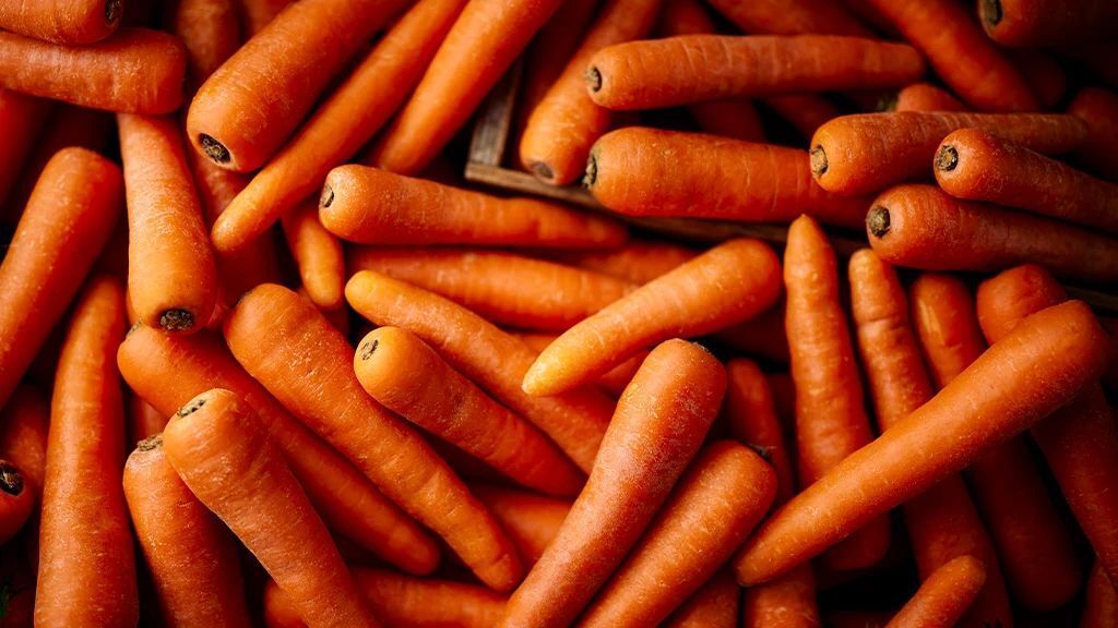 Havuç Hangi Mevsimde Yetiştirilir? Ne Zaman Ekilir? Faydaları ve Besin Değerleri