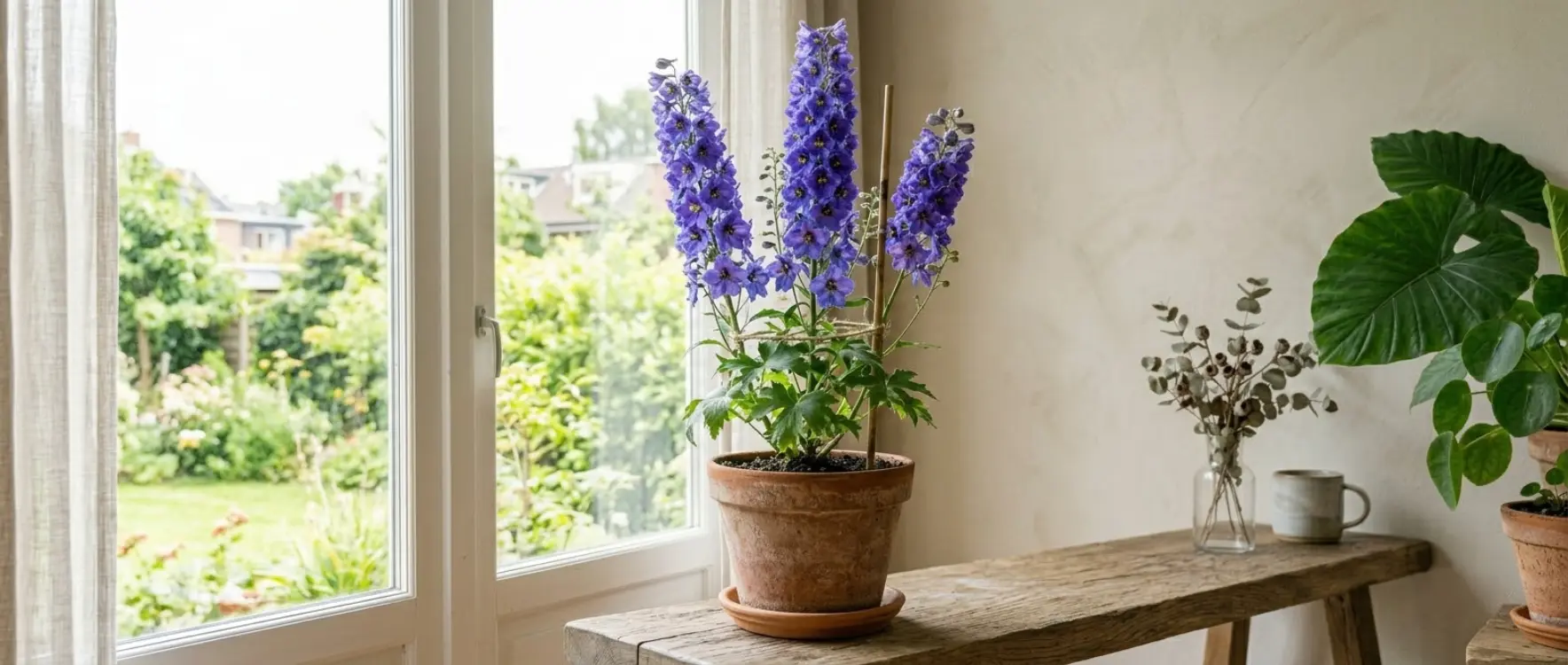 Hazeran Çiçeği Bakımı Nasıl Yapılır?