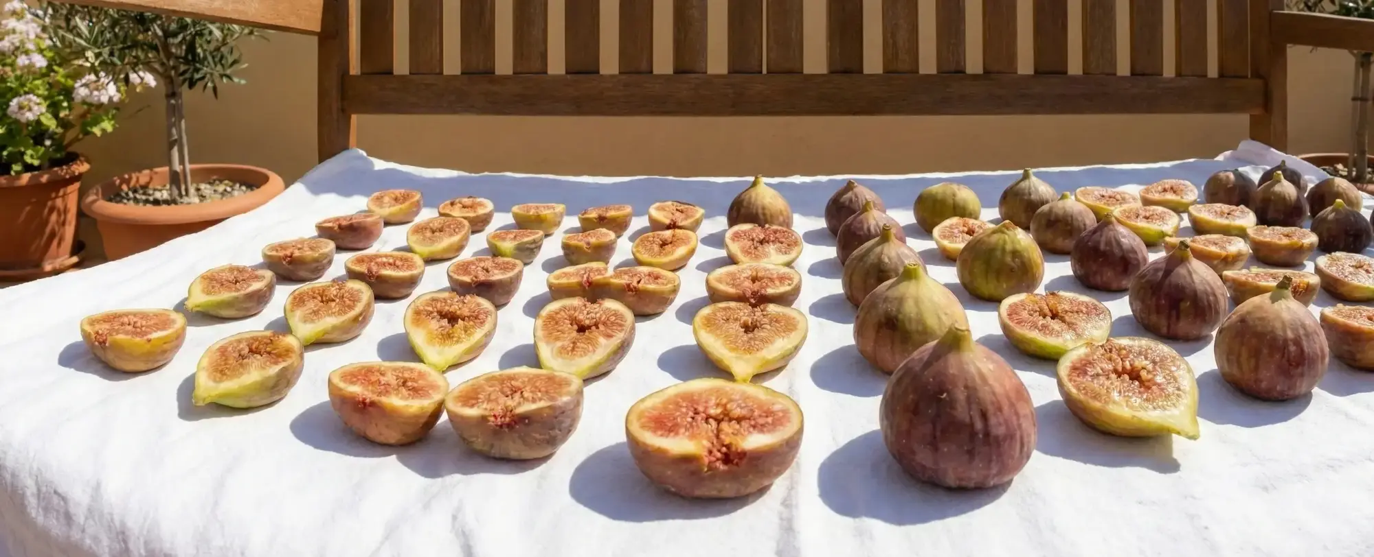 Güneşte İncir Nasıl Kurutulur?