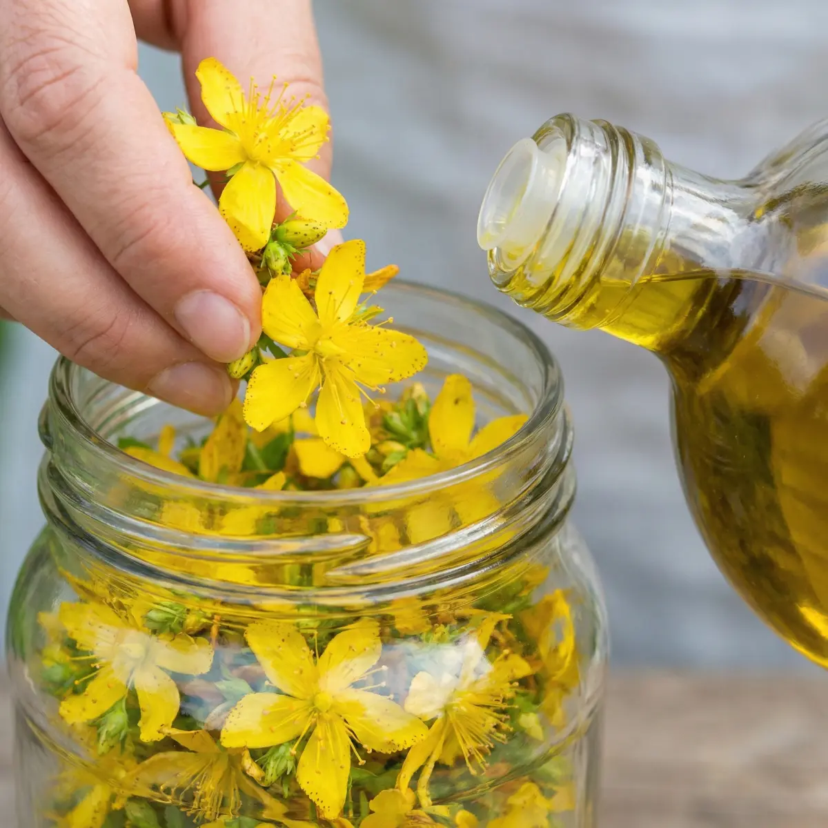 Kantaron Yağı Nasıl Yapılır?