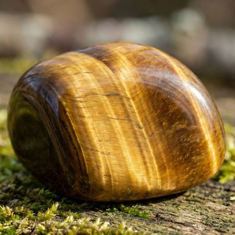 Kaplan Gözü Taşı