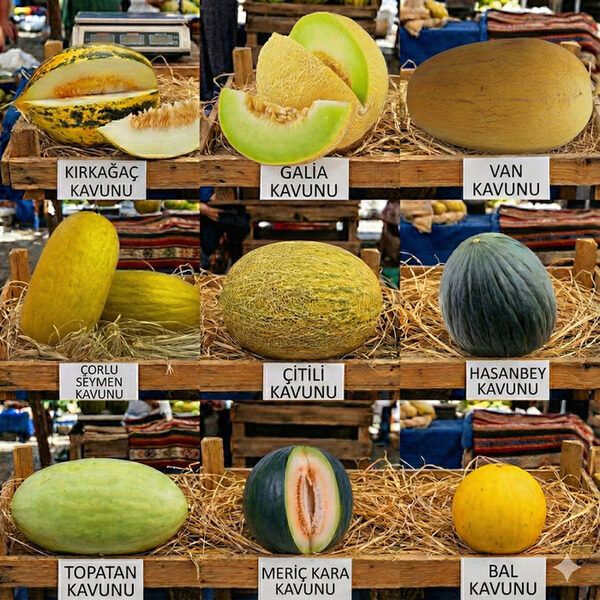 Kavun Türleri