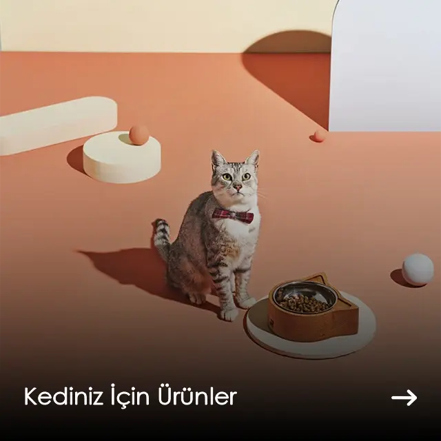 Kediniz İçin Ürünler