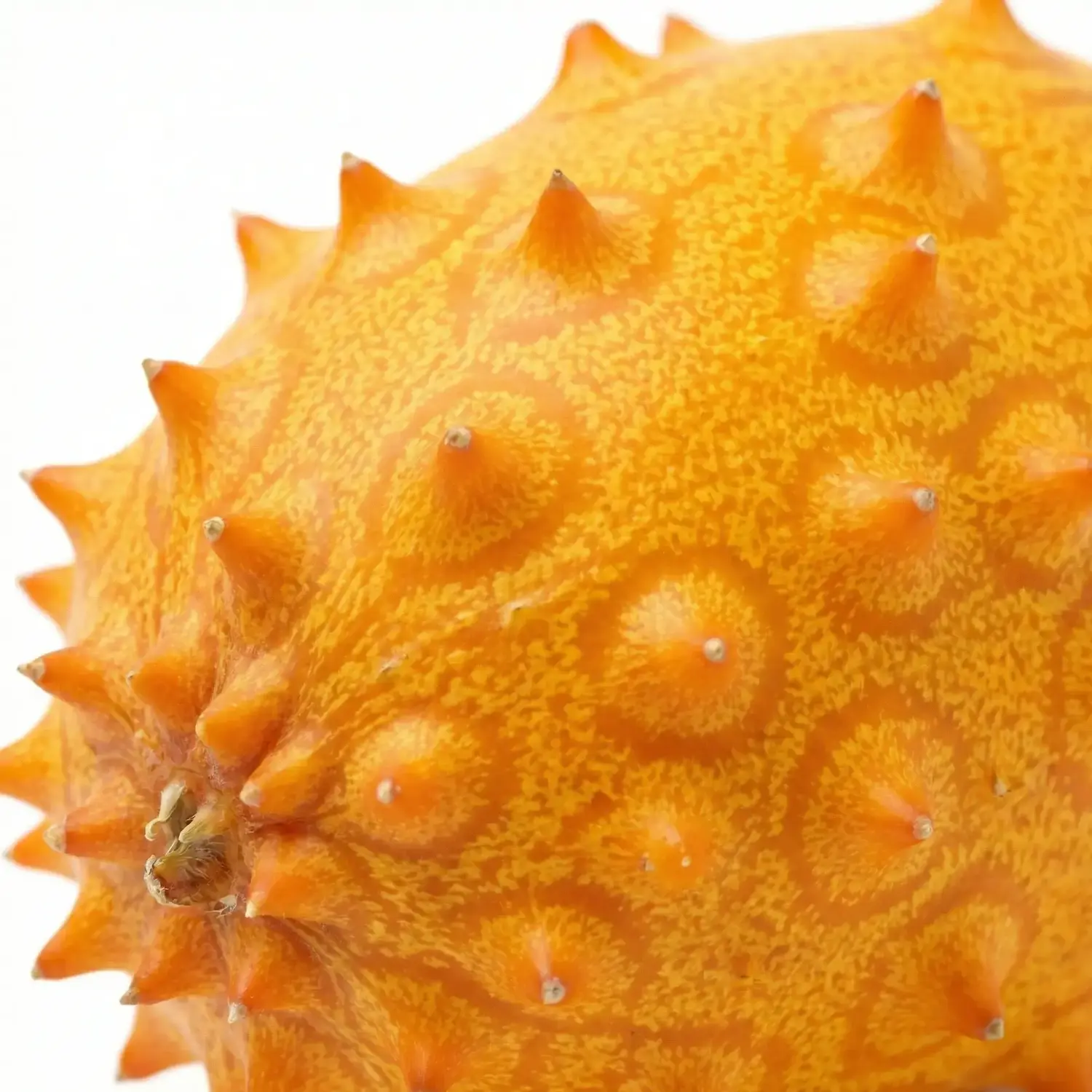 Kiwano Meyvesi