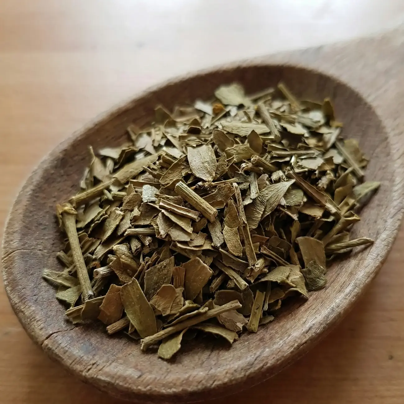 Kurutulmuş Ökse Otu