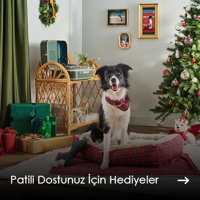 Patili Dostunuz İçin Hediyeler