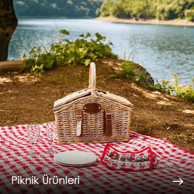 piknik.png