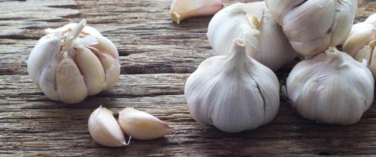 Sarımsak Nasıl Saklanır?