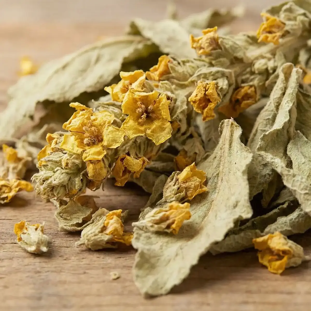 Sığır Kuyruğu Otu