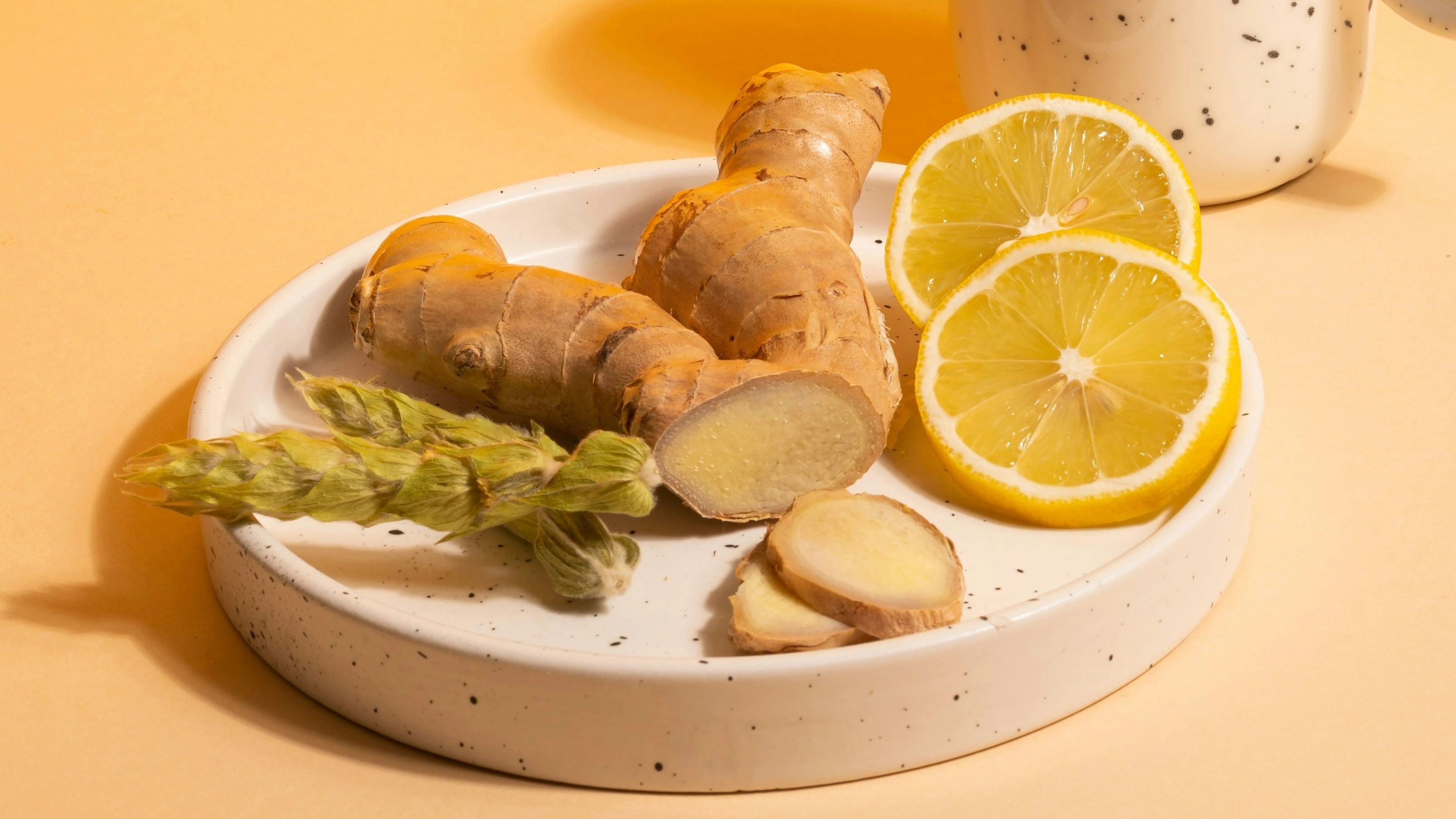 Taze Zencefil mi Toz Zencefil mi? Farkları ve Doğru Kullanım