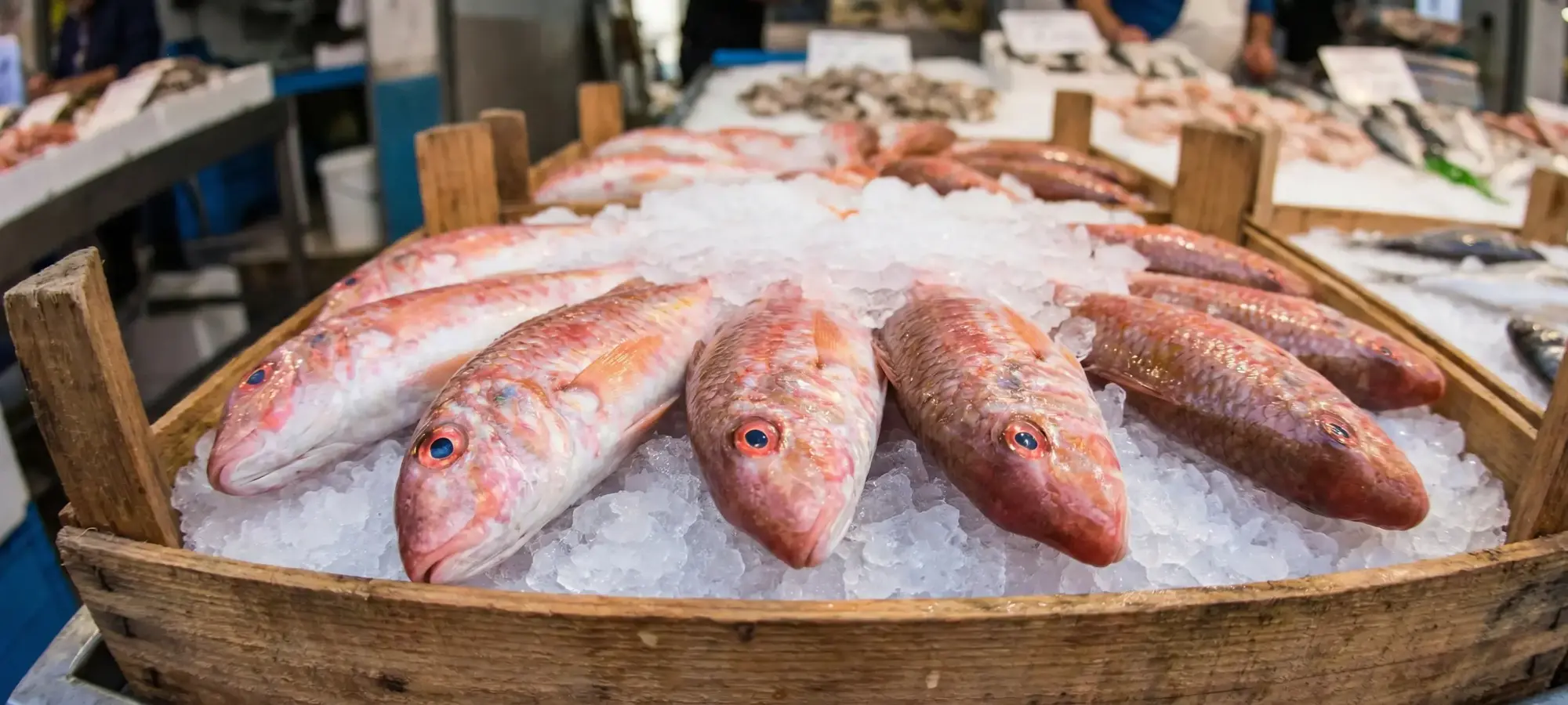 Tekir Balığı Nedir? Tekir Nasıl Pişirilir ve Temizlenir?