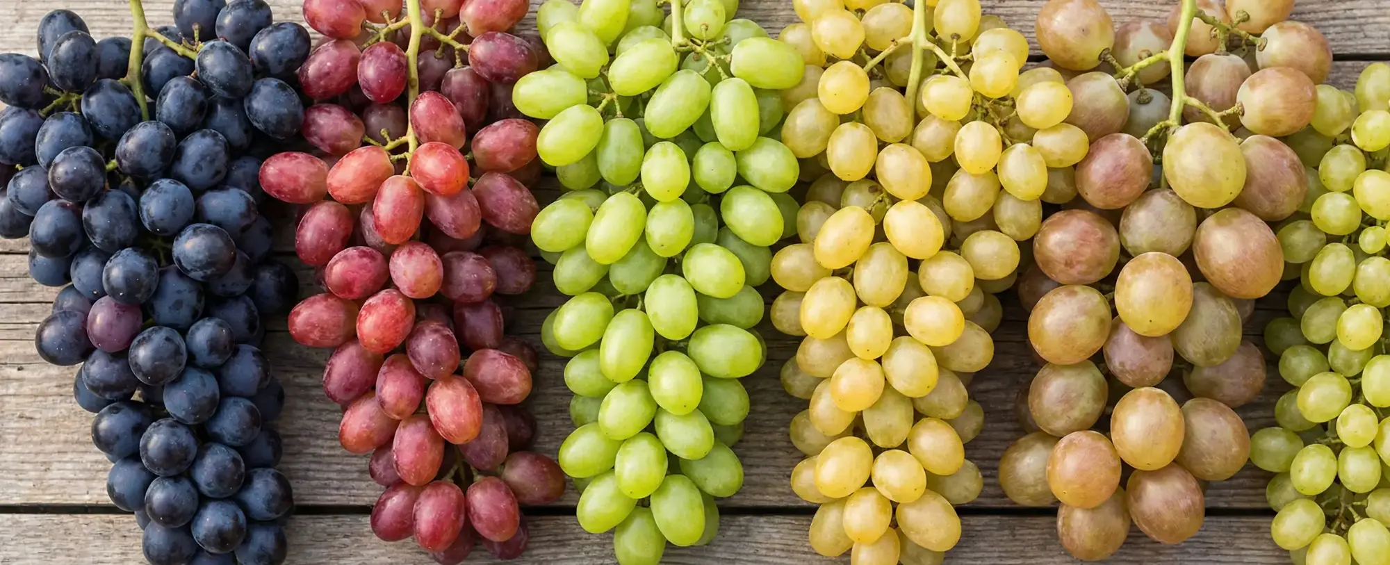 Türkiye'de En Çok Tüketilen ve Yetişen Üzüm Çeşitleri
