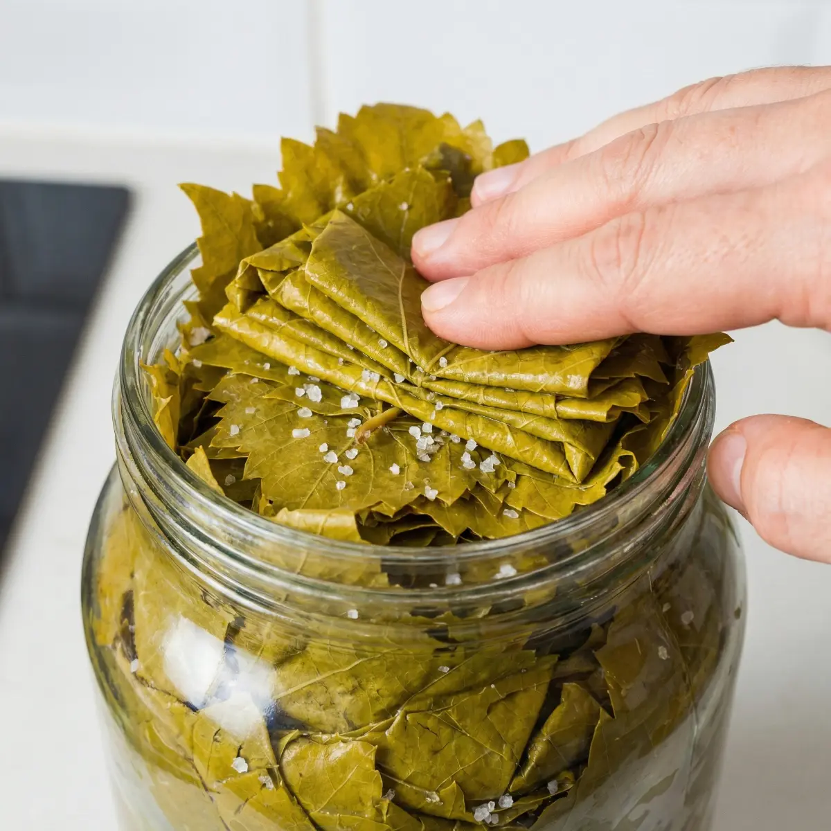 Yaprak Salamurası Nasıl Yapılır?