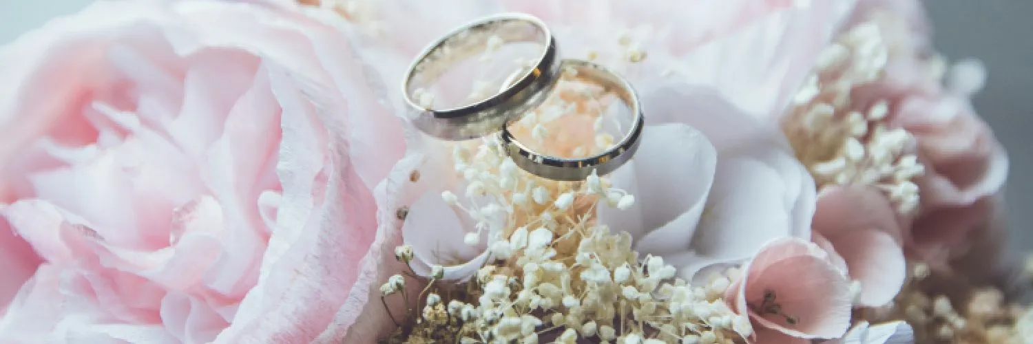 Yeni Evlenenler İçin Mutfak Ürünleri Alışveriş Listesi