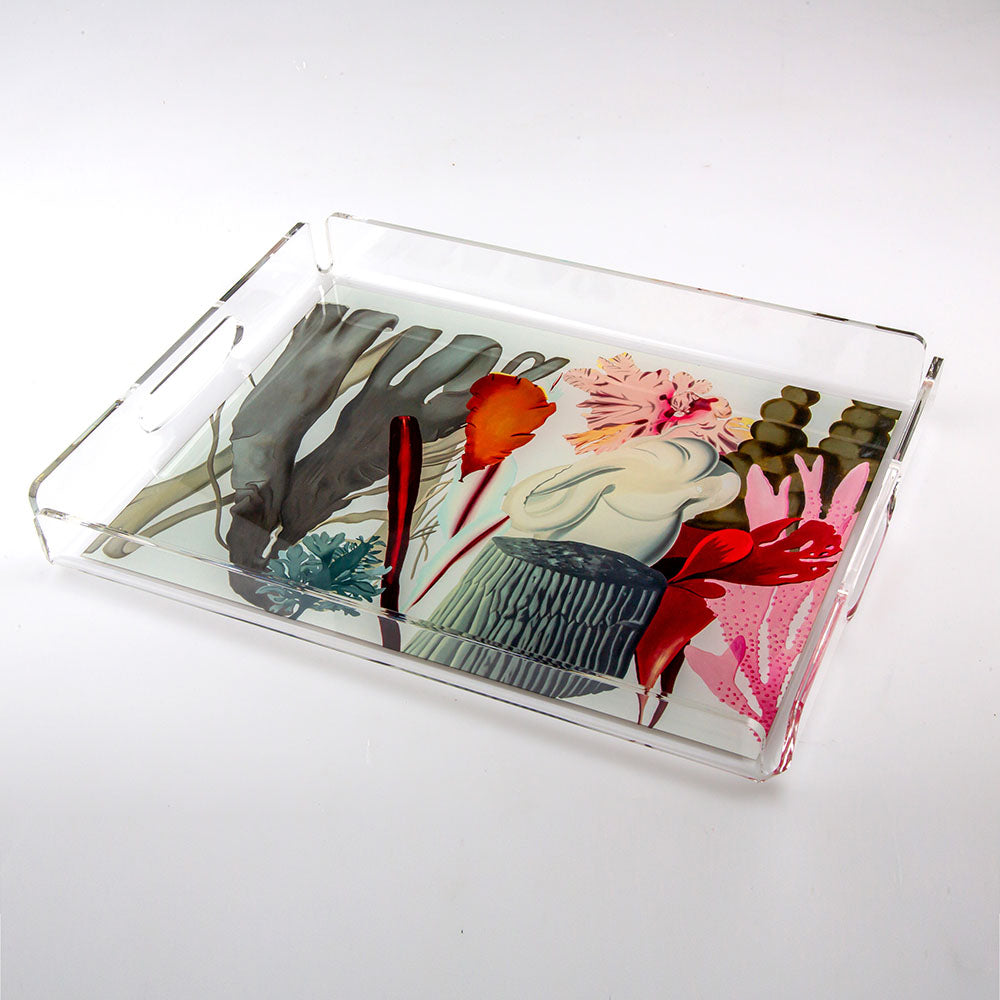 Jumbo Vira Marine Masa Büyüteci