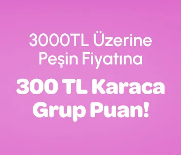 300 TL Puan