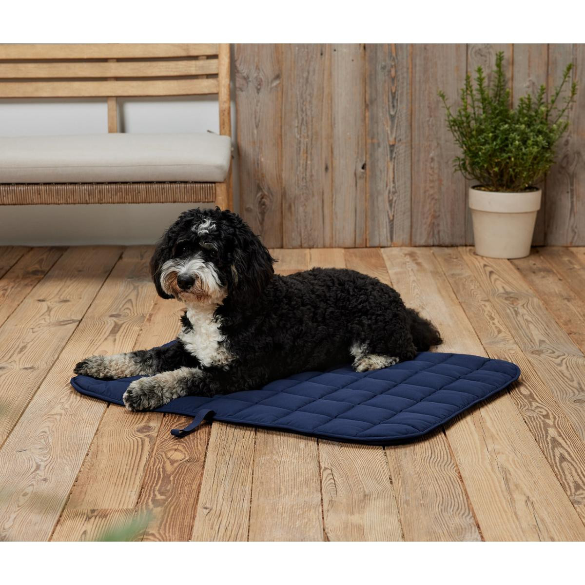 Tchibo Köpek Dış Mekan Battaniyesi