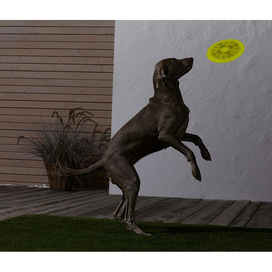 Tchibo Köpekler İçin Frizbi