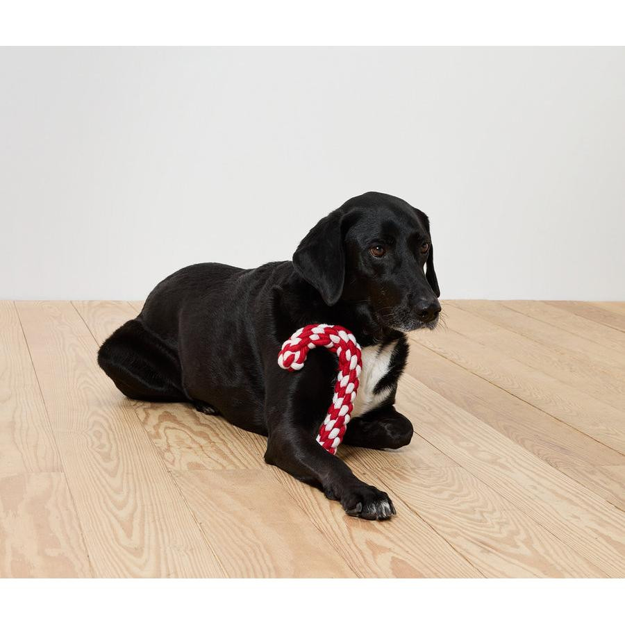 Tchibo Köpek Oyuncağı, Çubuk Şeker