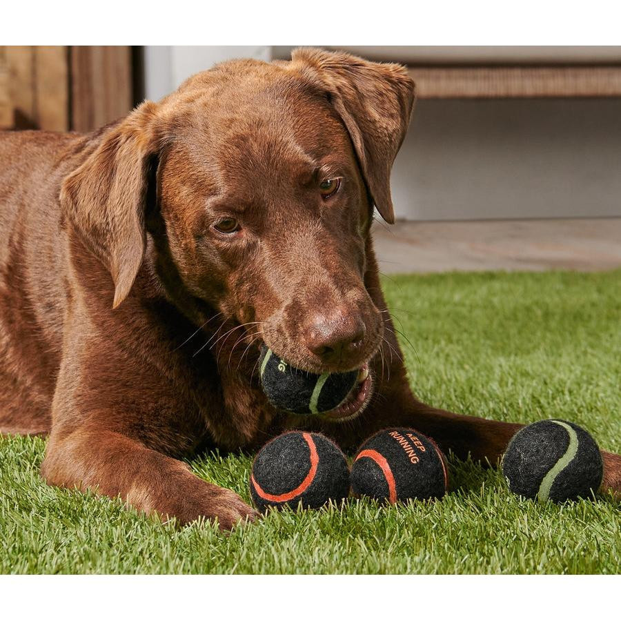 Tchibo Köpekler İçin Oyuncak Top, 4 Lü Set
