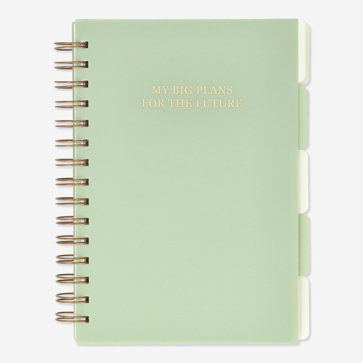 Flying Tiger Copenhagen Bölümlü 150 Yaprak Çizgili A5 Defter