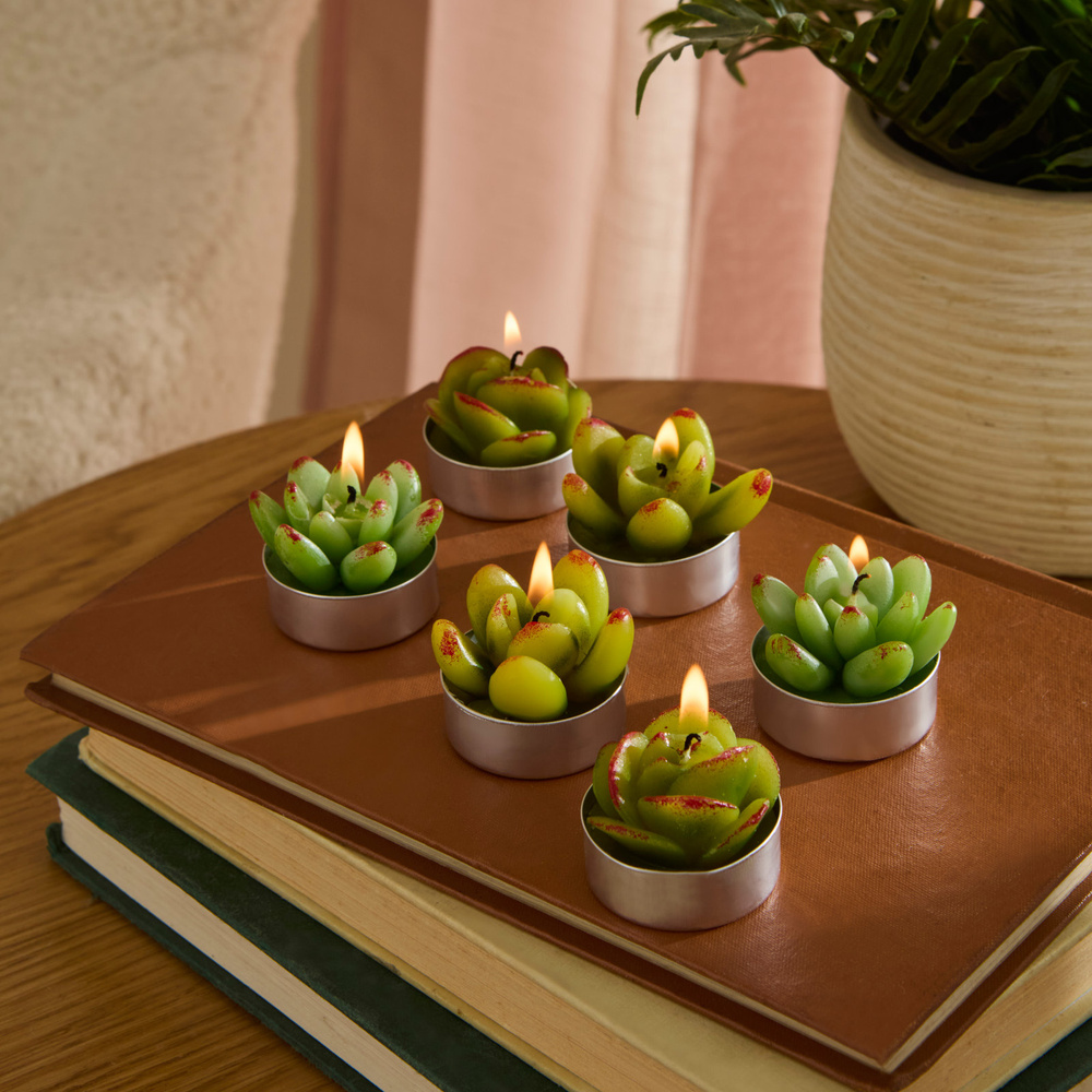 Karaca Home Sukulent 6'lı Tealight Mum görseli 1