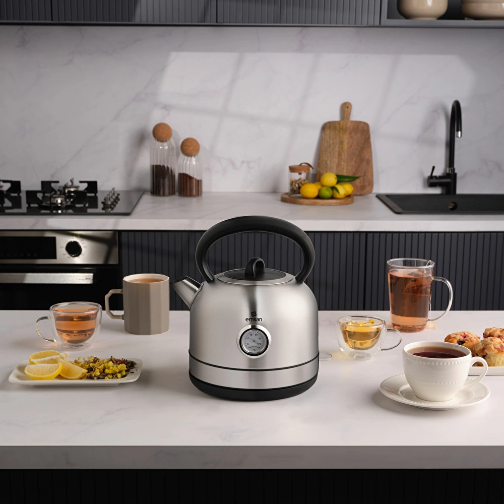 Emsan Retro Su Isıtıcısı 2202 Inox 1,7L 2200W görseli 2
