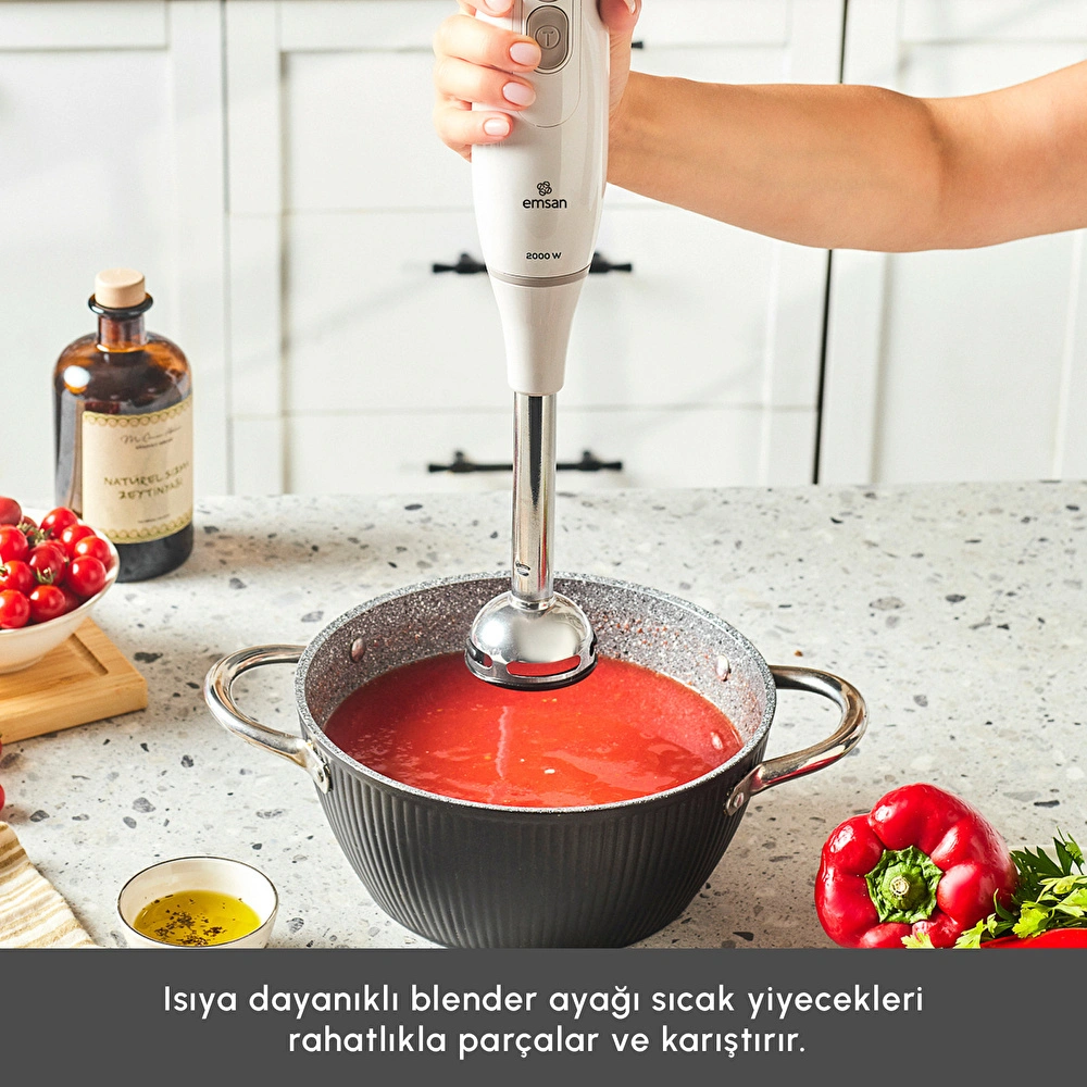Emsan Pro Multimax 6 in 1 Çok Amaçlı Mutfak Robotu İconic Beige görseli 11