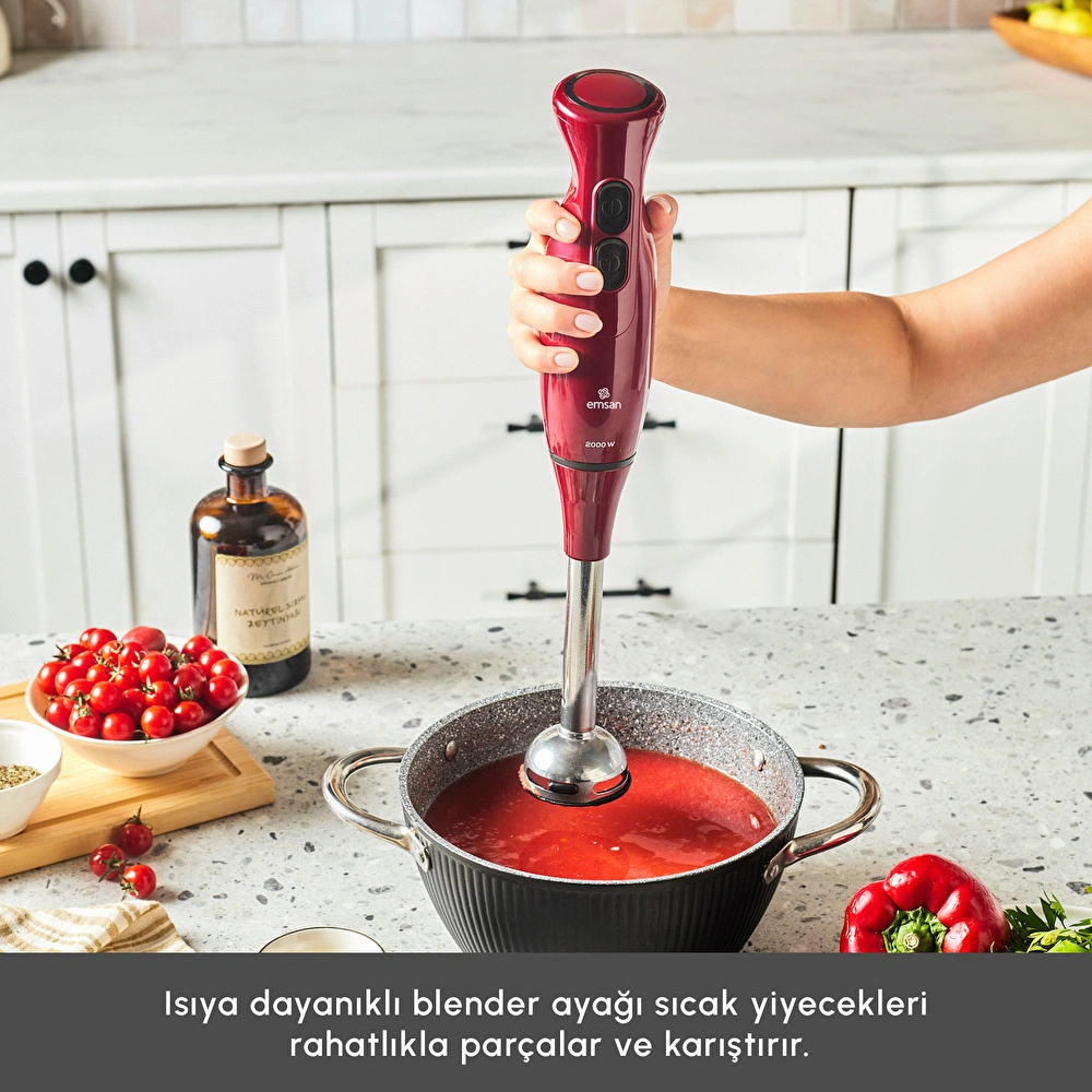 Emsan Pro Multimax 6 in 1 Çok Amaçlı Mutfak Robotu Red 2000 W görseli 10