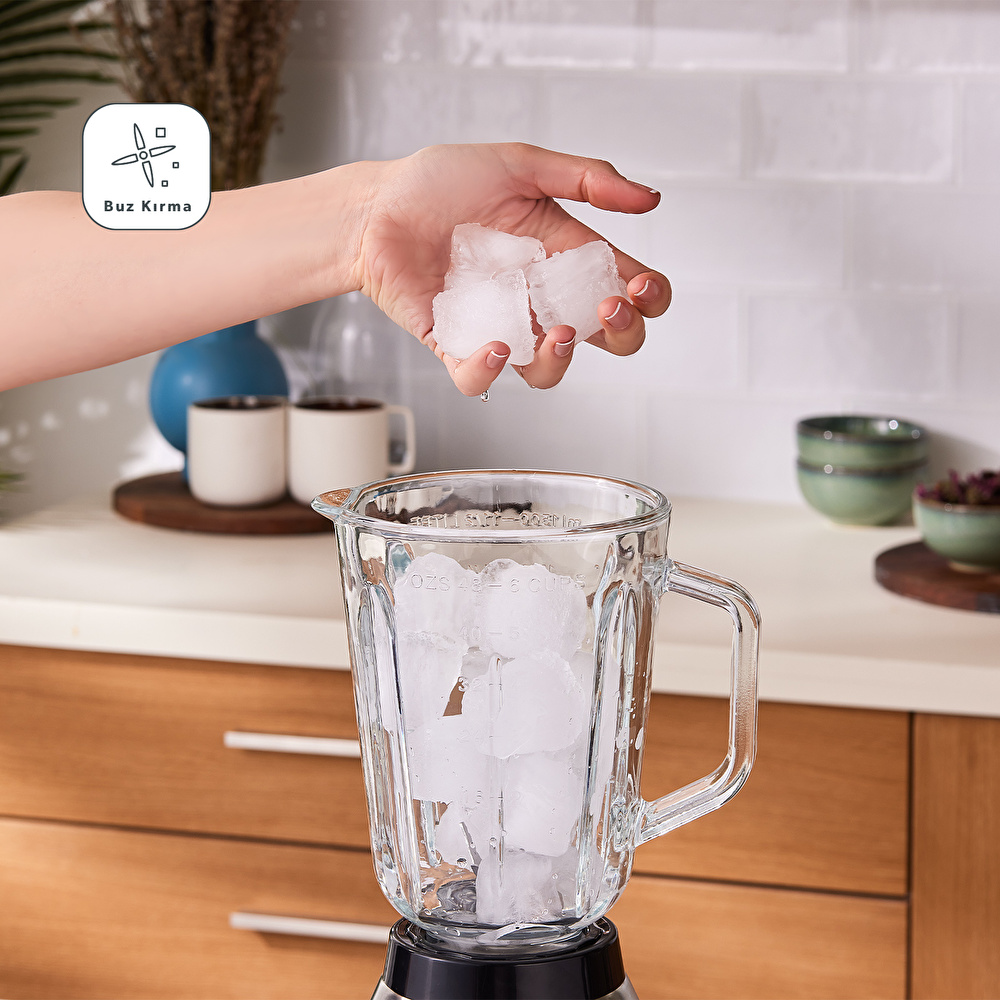 Homend Blendsetter 1920H Smoothie Blender görseli 6