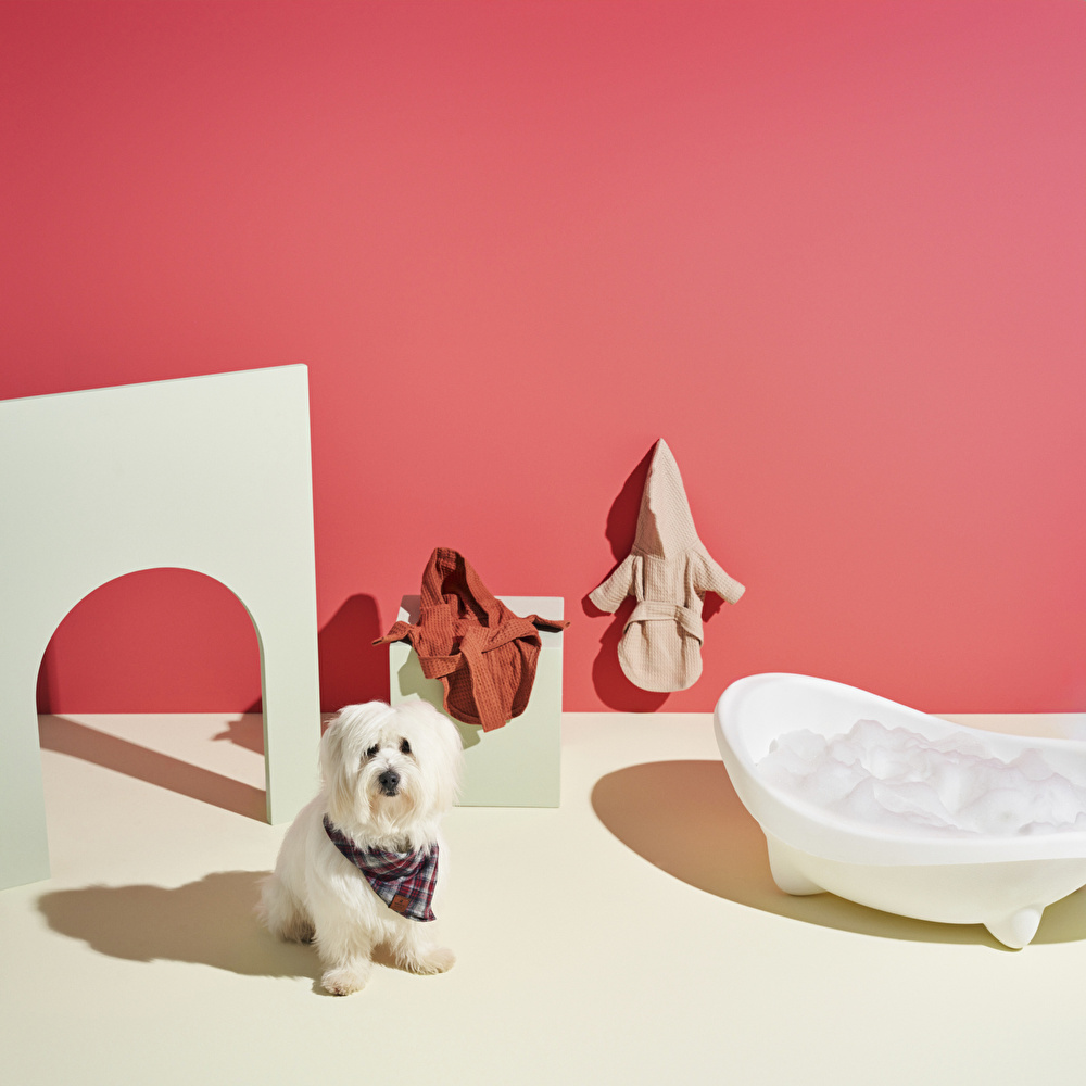 Karaca Home X Pati Gingham Köpek Kırmızı Fular görseli 2