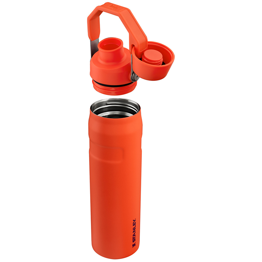 Stanley The Aerolight IceFlow Soğuk Su Termosu 600 ml Tigerlily  görseli 3