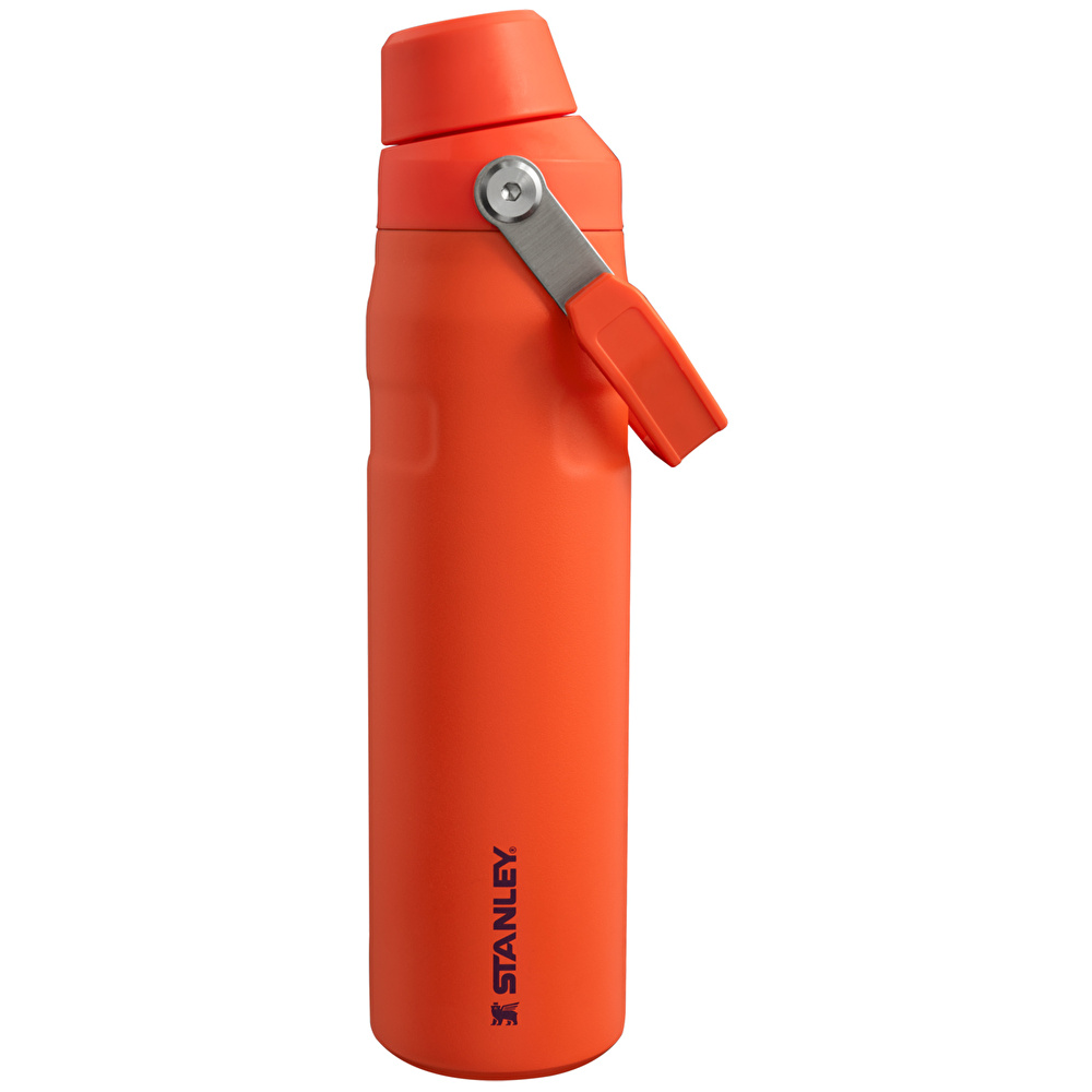 Stanley The Aerolight IceFlow Soğuk Su Termosu 600 ml Tigerlily  görseli 1
