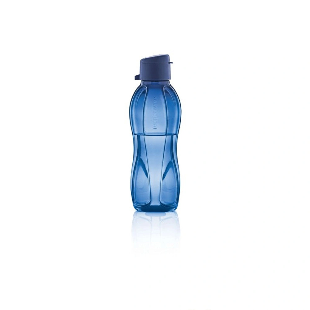 Tupperware Eco Şişe 500 ml Kutup Gecesi görseli 1