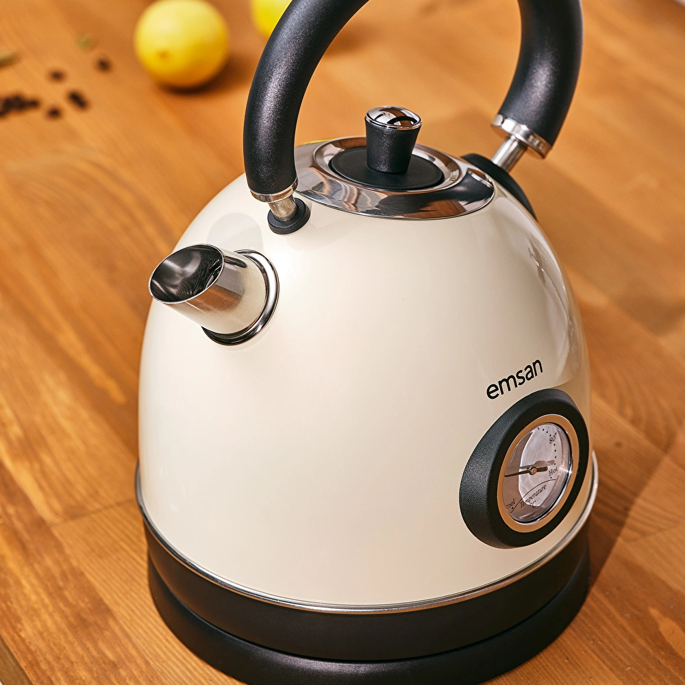 Emsan Turtle Kettle Cream görseli 4