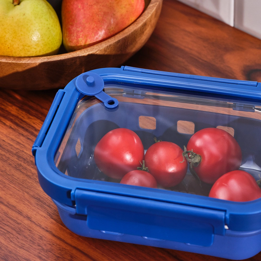 Emsan Smart 640 ml Borosilikat Saklama Kabı görseli 4