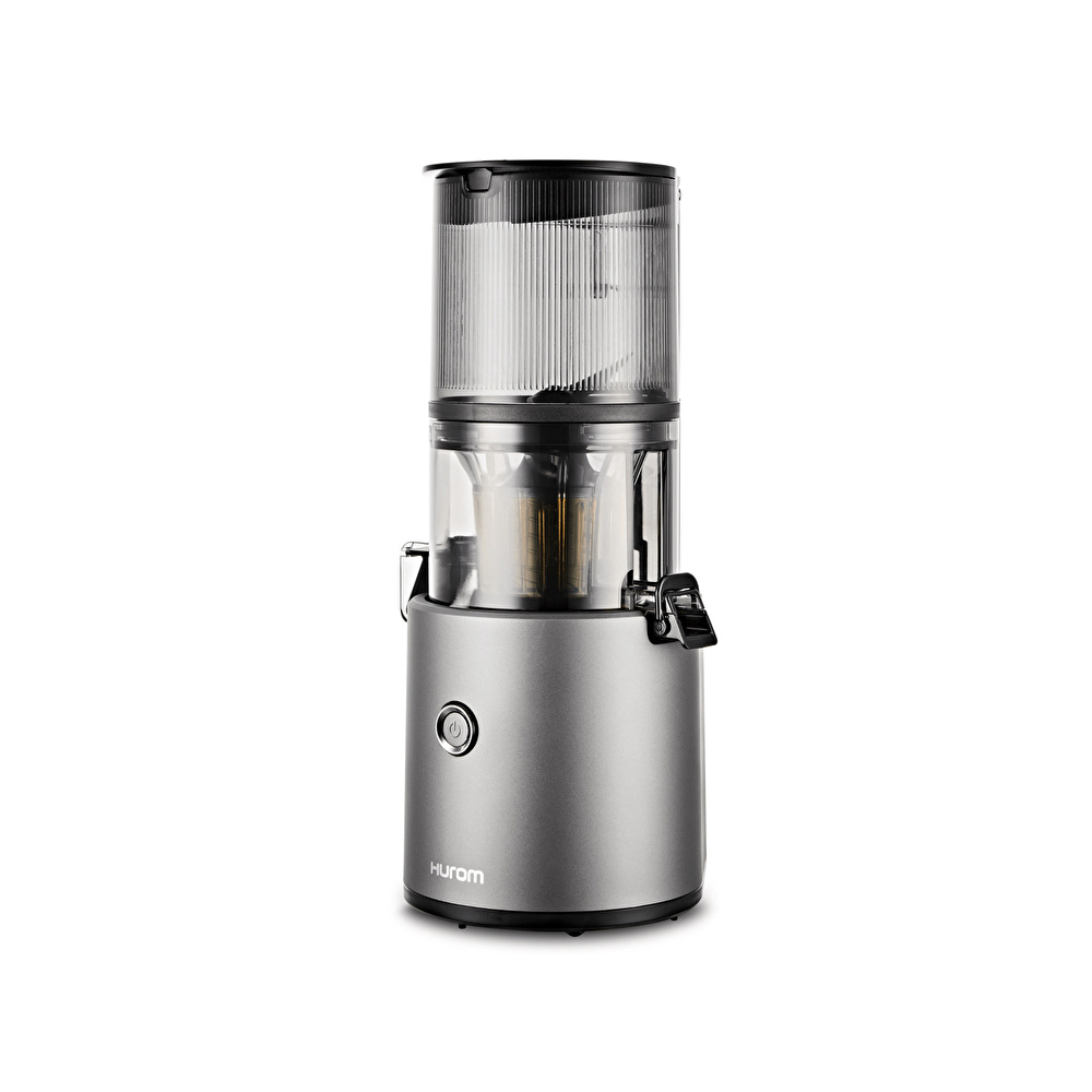 Hurom H 300E DBE Slow Juicer Metalik Gri görseli 2