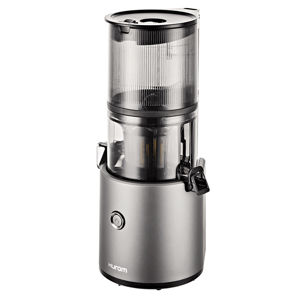 Hurom H 300E DBE Slow Juicer Metalik Gri görseli 4