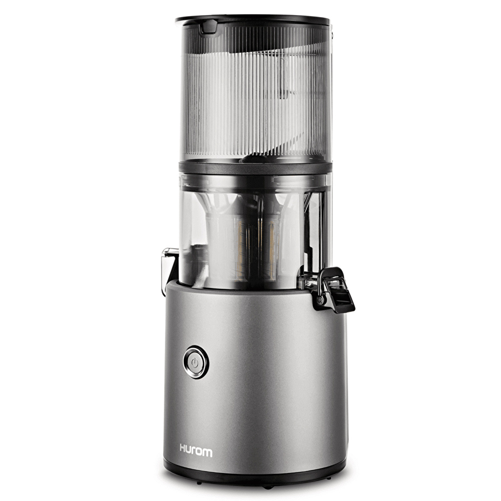 Hurom H 300E DBE Slow Juicer Metalik Gri görseli 6