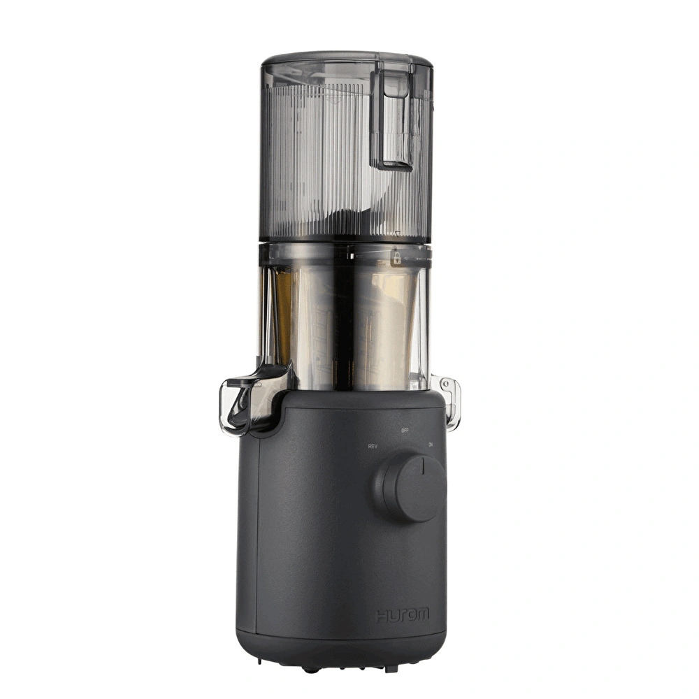 Hurom H 310A CH Slow Juicer Siyah görseli 4