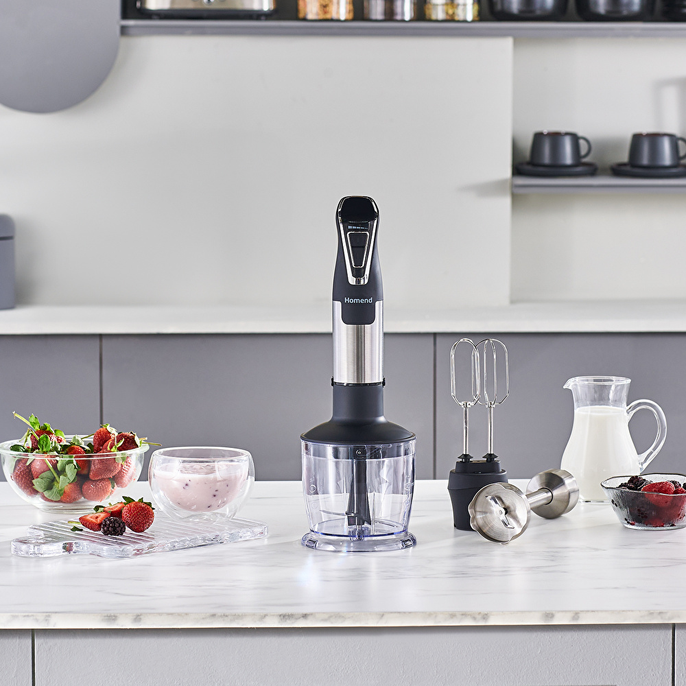 Homend Handmaid 1965h Inox Çelik Bıçaklı Blender Set görseli 2